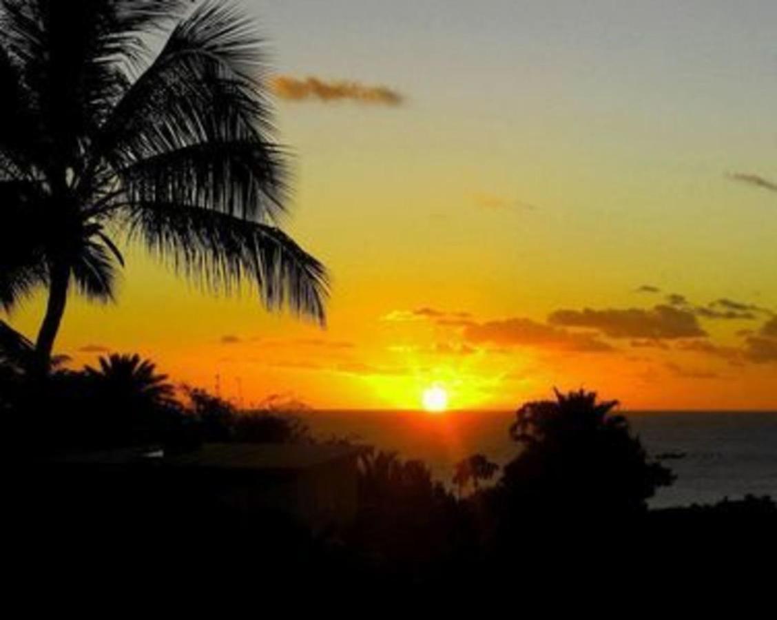 Attractive 2-Bed Apartment Stunning Sea View Dickenson Bay エクステリア 写真